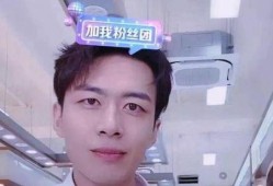 王晨鹏前妻爆料视频,揭秘婚姻背后的惊人真相