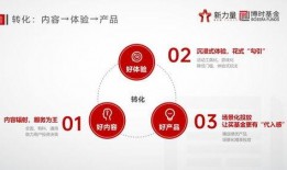 最新爆料吃瓜网页,最新吃瓜网页爆料，带你一探究竟！